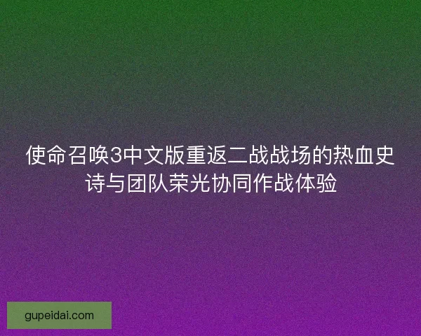 使命召唤3中文版重返二战战场的热血史诗与团队荣光协同作战体验